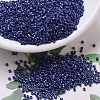 MIYUKI Delica Beads SEED-X0054-DB0135-1