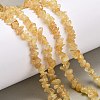 Natural Citrine Beads Strands G-O049-B-29A-2