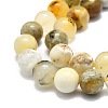 Natural Opal Beads Strands G-E576-12C-3