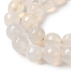 Dyed & Heated Natural Agate Beads Strands G-P539-D01-03-4