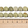 Natural Alashan Agate Beads Strands G-F812-B02-02-6