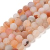 Natural Red Agate Beads Strands G-A248-A03-01-2
