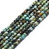 Natural African Turquoise(Jasper) Beads Strands G-P457-B01-43-1