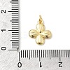 Brass Pendants KK-Z135-13B-G-3
