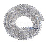 Natural Labradorite Beads Strands G-K366-A01-01-3