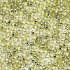 Glass Seed Beads X-SEED-S042-04A-02-3