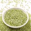 Glass Seed Beads SEED-S042-04B-24-2