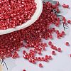Baking Paint Glass Seed Beads SEED-S042-15A-06-1