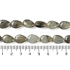 Natural Labradorite Beads Strands G-K357-A14-01-5