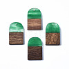 Transparent Resin & Walnut Wood Pendants RESI-T035-32A-1