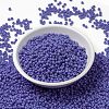 MIYUKI Round Rocailles Beads X-SEED-G008-RR0417L-2