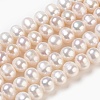 Natural Cultured Freshwater Pearl Beads Strands X-PEAR-S001-4-5mm-3-1