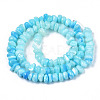 Natural Sea Shell Beads Strands SSHEL-S278-131D-2