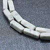 Natural Howlite Beads Strands G-F631-E10-3