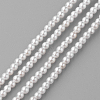 Shell Pearl Beads Strands PEAR-R064-94-1