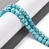 Natural Howlite Beads Strands G-G001-B02-05-2