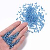 6/0 Round Glass Seed Beads SEED-US0003-4mm-163-4