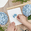 Dried Embossed Paper DIY-WH0622-646A-3