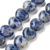 Natural Blue Spot Jasper Beads Strands G-B022-26C-2