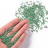 12/0 Glass Seed Beads SEED-A012-2mm-127-4