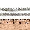 Natural Labradorite Beads Strands G-H336-A08-05-5