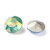 K9 GLass Rhinestone Cabochons EGLA-F161-08-2