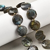 Natural Labradorite Beads Strands G-C116-A164-03-1