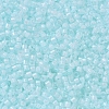 MIYUKI Delica Beads X-SEED-J020-DB0078-3