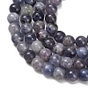 Natural Iolite Beads Strands G-G300-A04-6mm-4