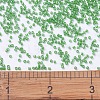 MIYUKI Delica Beads SEED-MY11-DB0274-4