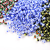 12/0 Opaque Colours Seep Glass Beads SEED-YW0001-09C-6