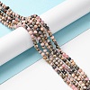 Natural Argentina Rhodonite Beads Strands LS-G-M399-01B-2