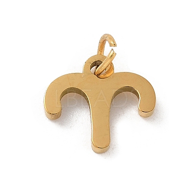 304 Stainless Steel Charms STAS-R001-04G-01-1