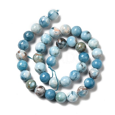 Natural Gemstone Beads Strands G-F730-02C-1