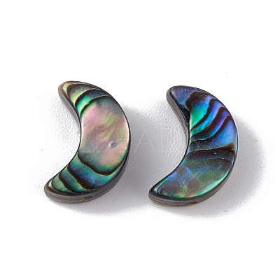 Natural Abalone Shell/Paua Shell Beads SSHEL-M021-05-1