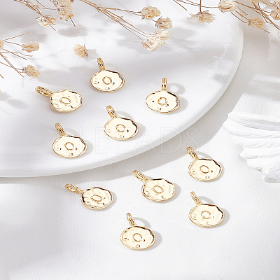 10Pcs Alloy Pendants FIND-LP0003-36O-1