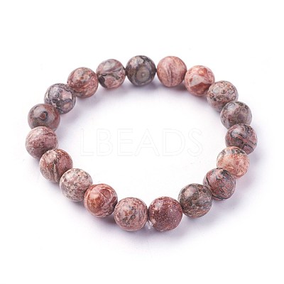 Natural Leopard Skin Jasper Beads Stretch Bracelets X-BJEW-F380-01-B12-1