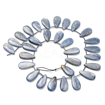 Natural Kyanite Beads Strands G-H335-E01-12x25mm-1