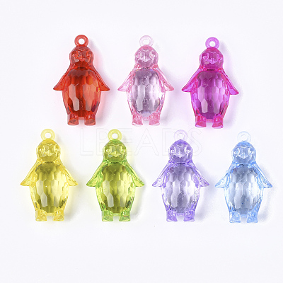 Transparent Acrylic Pendants TACR-S133-006-1