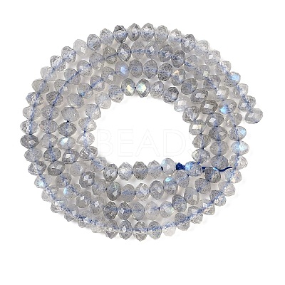 Natural Labradorite Beads Strands G-K366-A01-01-1
