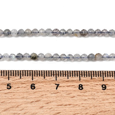 Natural Labradorite Beads Strands G-RM250104-E8-1