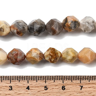 Natural Crazy Agate Beads Strands G-Z119-A13-03-1