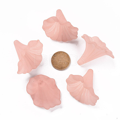 Transparent Acrylic Beads BSF796-C11-1