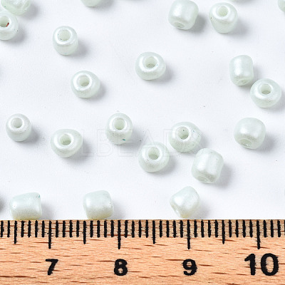 6/0 Glass Seed Beads SEED-S058-A-F408-1