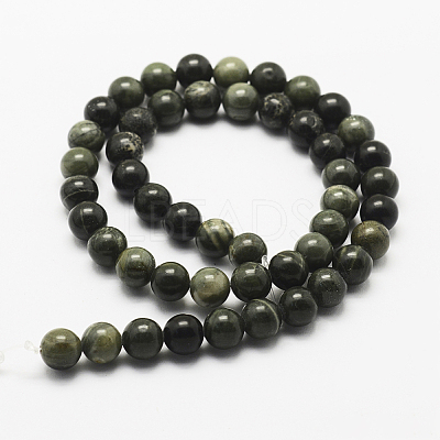 Natural Green Wood Lace Stone Wooden Jasper Beads Strands G-J358-04-8mm-1