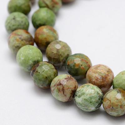 Natural Green Opal Beads Strands G-K209-05A-6mm-1