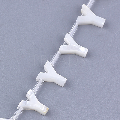 Natural Sea Shell Beads SHEL-T012-60Y-1