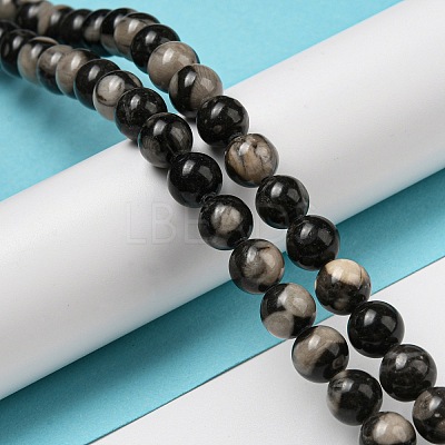 Natural Black Fossil Coral Beads Strands G-R494-A04-03-1