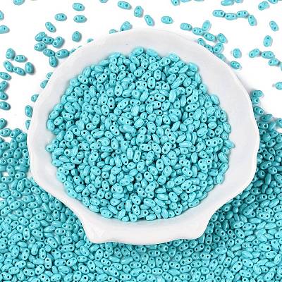 Baking Paint Glass Seed Beads SEED-T006-03H-1