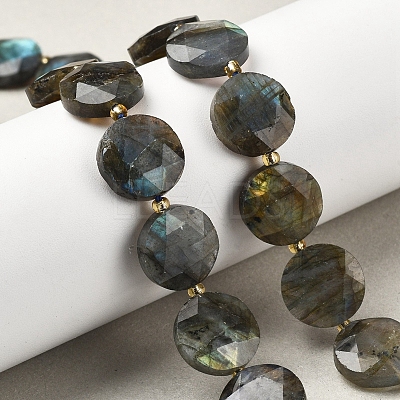 Natural Labradorite Beads Strands G-C116-A164-03-1